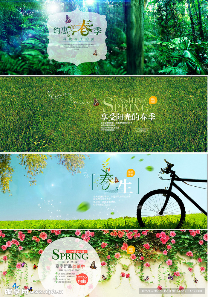 绿色清背景