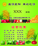 种子名片