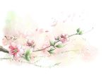 卡通花朵素材