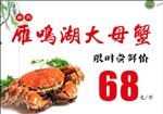 大闸蟹海报