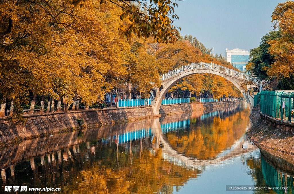 美丽的河边景色图片