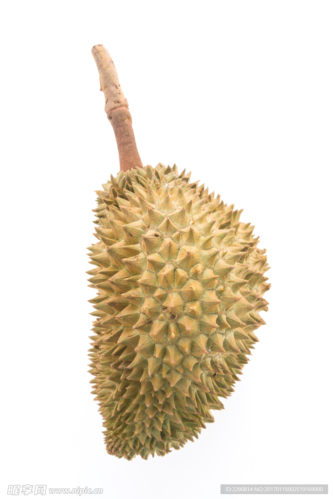 榴莲
