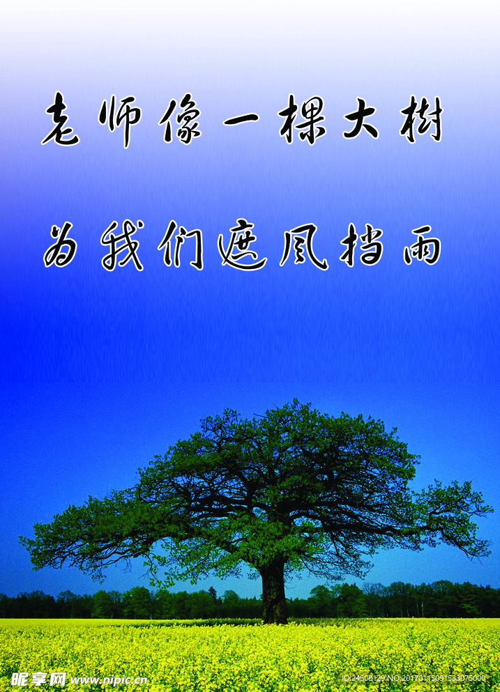 大树