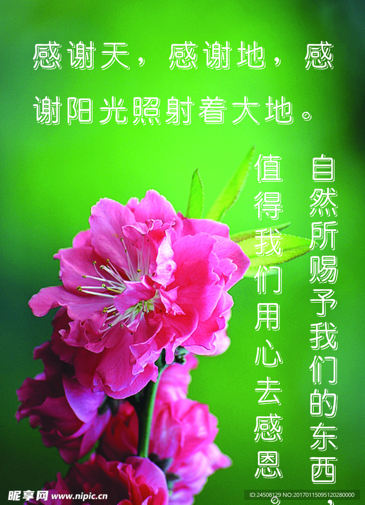 自然花