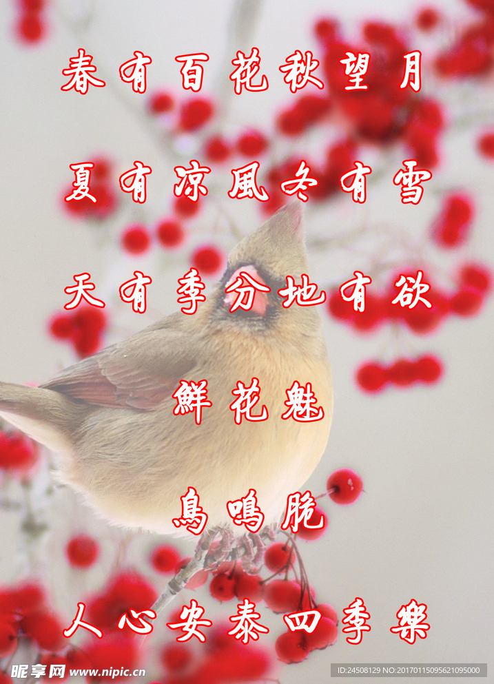 自然鸟