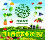 农场背景动物蔬菜