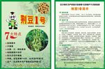 荆农大豆1号
