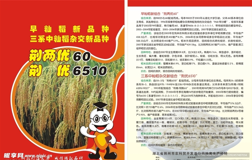 早稻 中稻