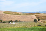 napa valley葡萄酒庄