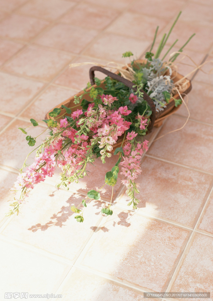 鲜花