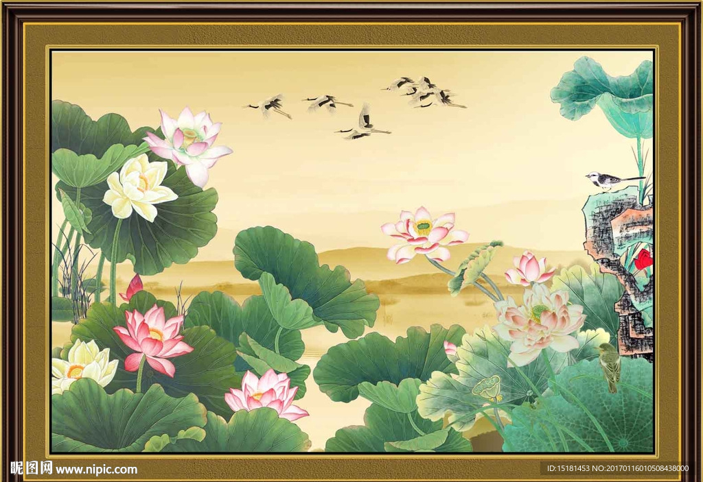 荷花图