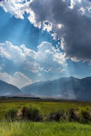 山