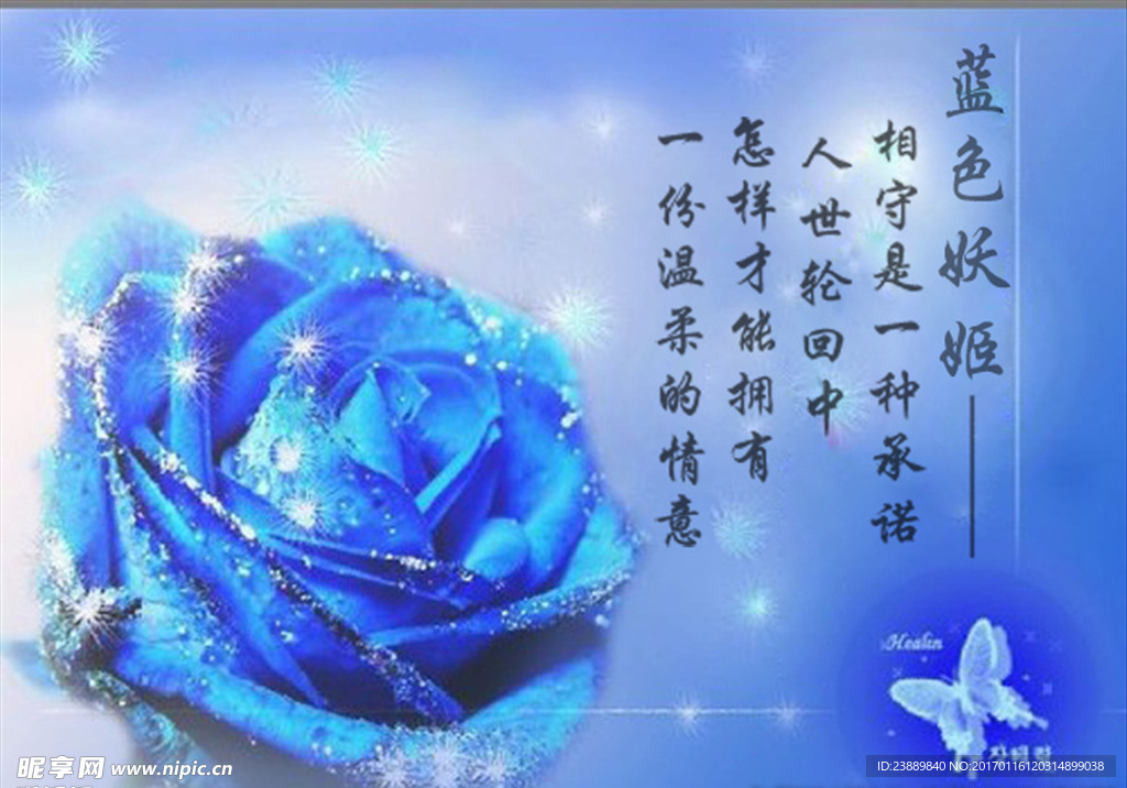 蓝色妖姬