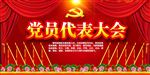 党员代表大会