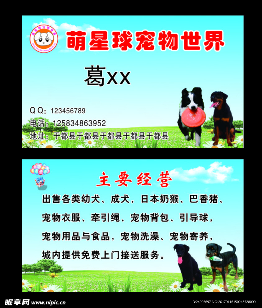 宠物店名片