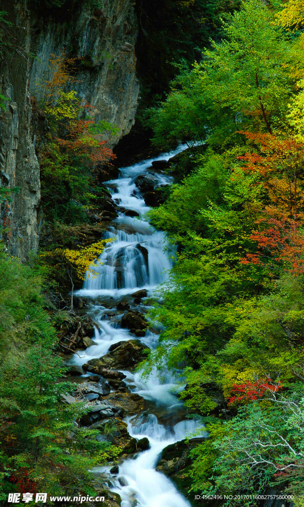 高山流水