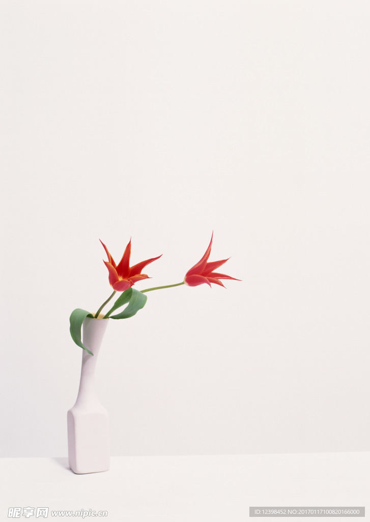 花瓶中的鲜花