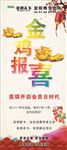 2017年金鸡报喜展架