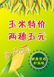 玉米