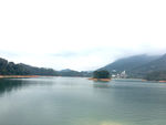 流溪河 森林