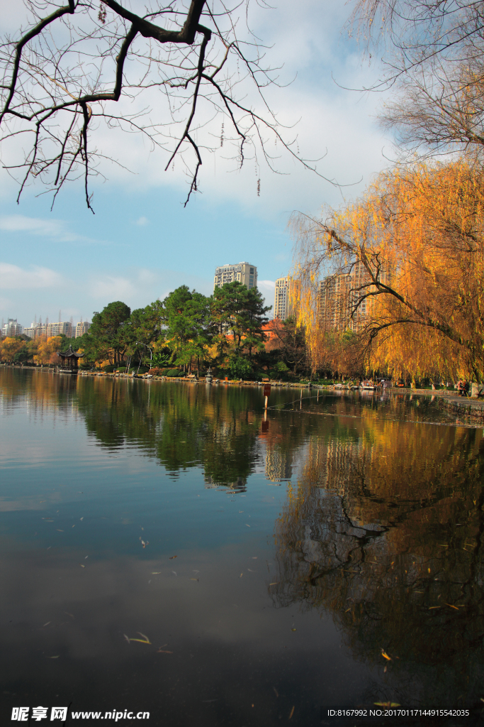 浙大华家池校区风景