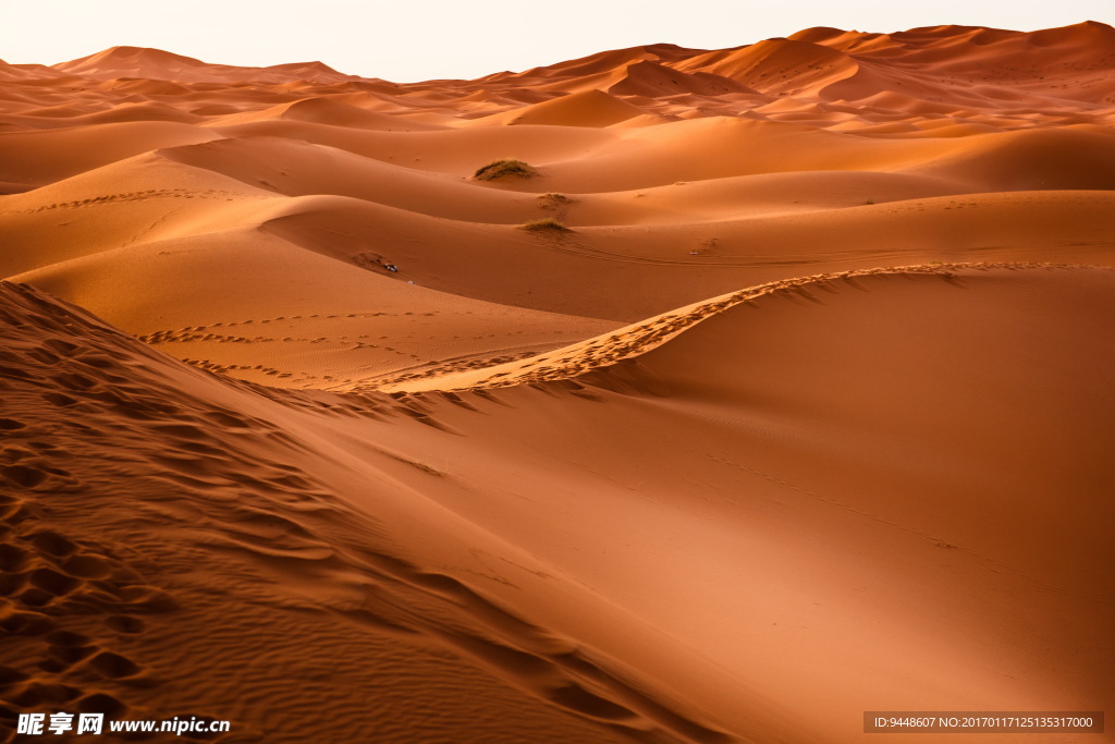 荒凉沙漠沙丘图片
