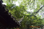苏州同里古镇 5A级景区 世界