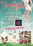凤仪蝶舞