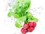 蔬菜