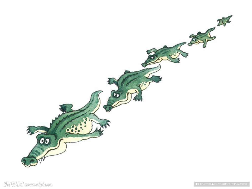鳄鱼图案