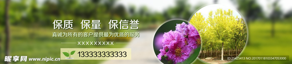 banner模板