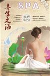 女子养生SPA海报