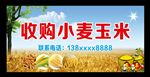 收购小麦玉米
