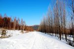 雪景