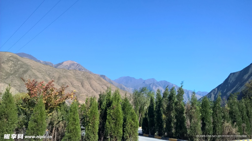 蓝天绿树