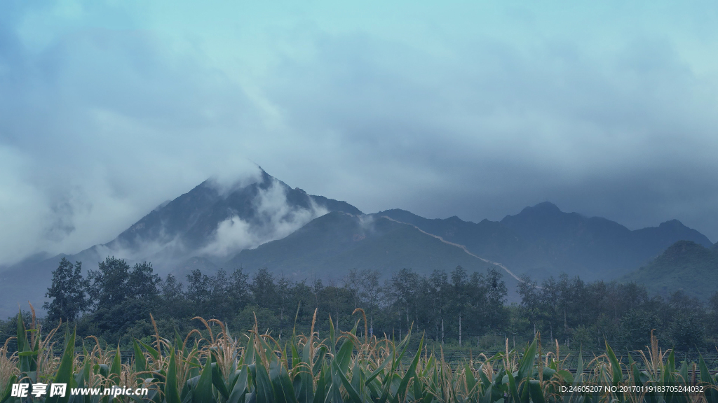 风景