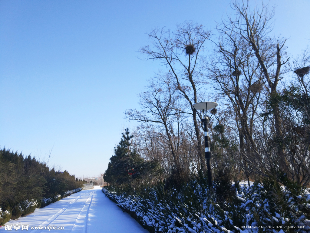 雪景