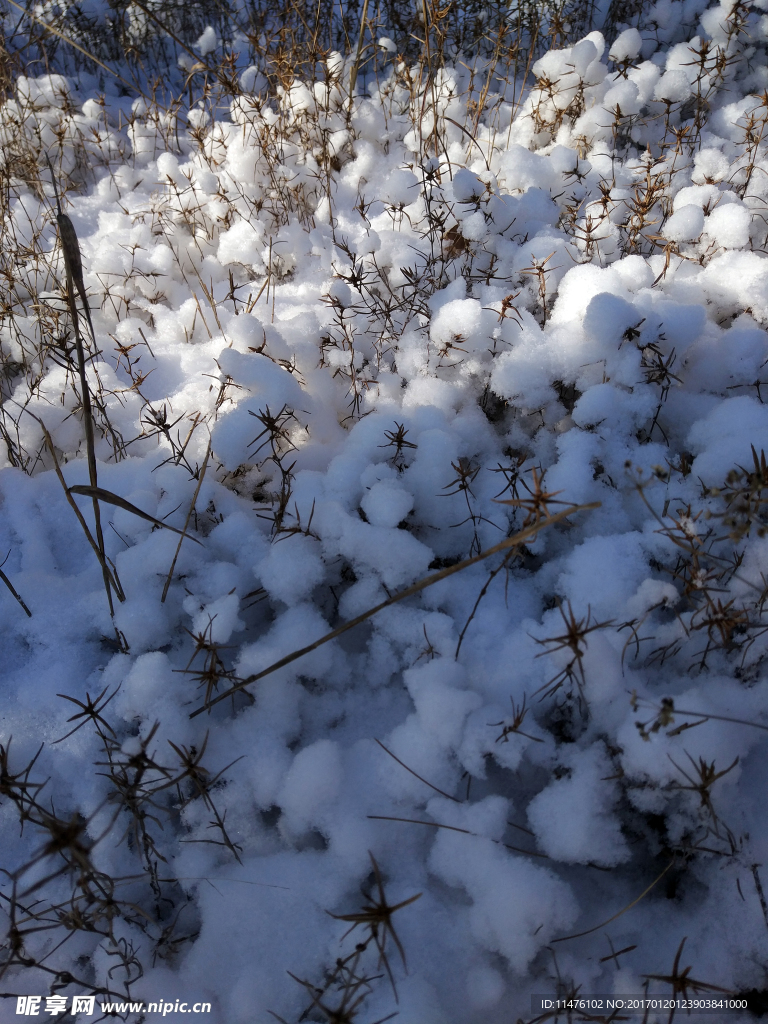 雪景图