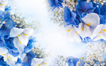 百合花卉素材背景墙