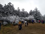 峨眉山旅游