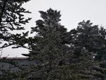 峨眉山