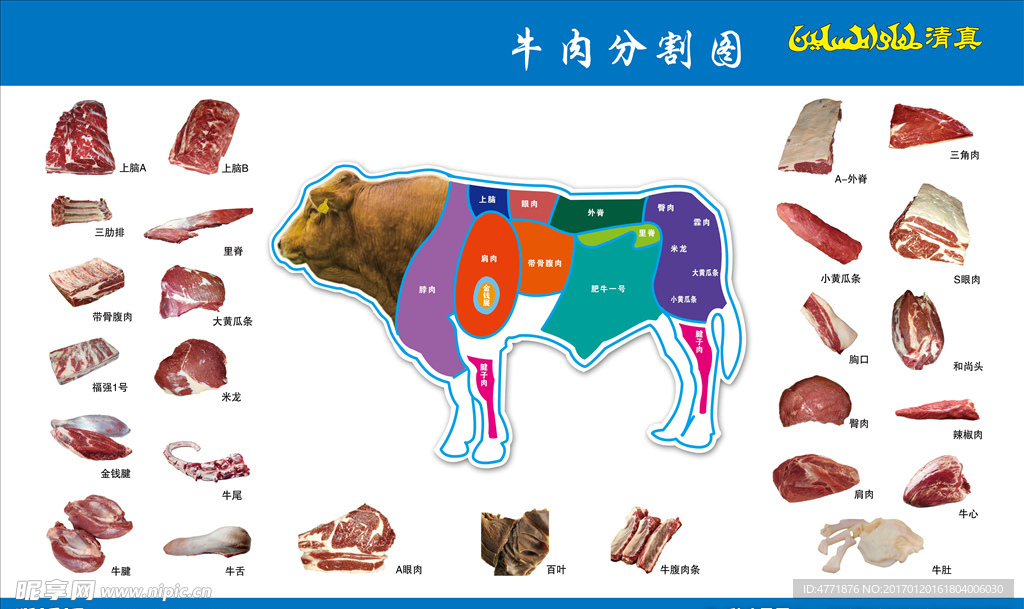 牛肉分割图