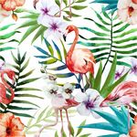 水彩绘朱槿花和火烈鸟矢量图
