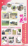 桃花园宣传展板