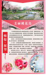 桃花园展板