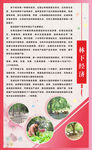 桃花园展板