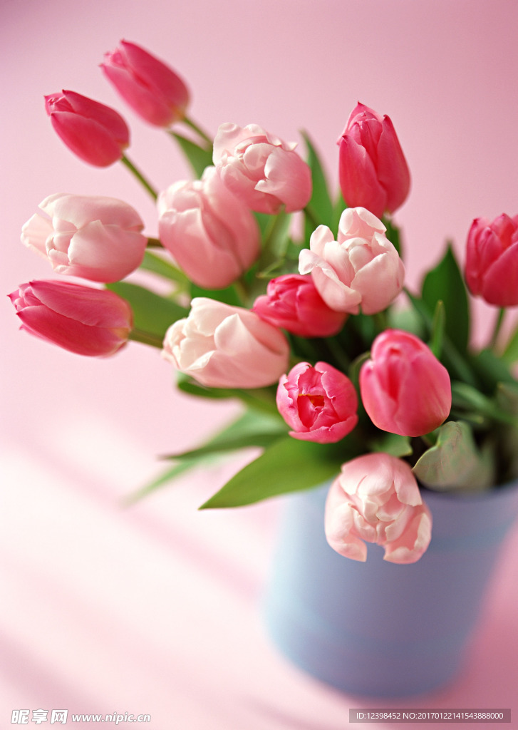 鲜花花艺