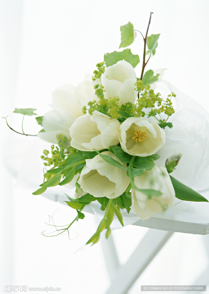 白色鲜花