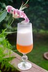 鸡尾酒