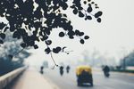 行驶中的三轮车背影